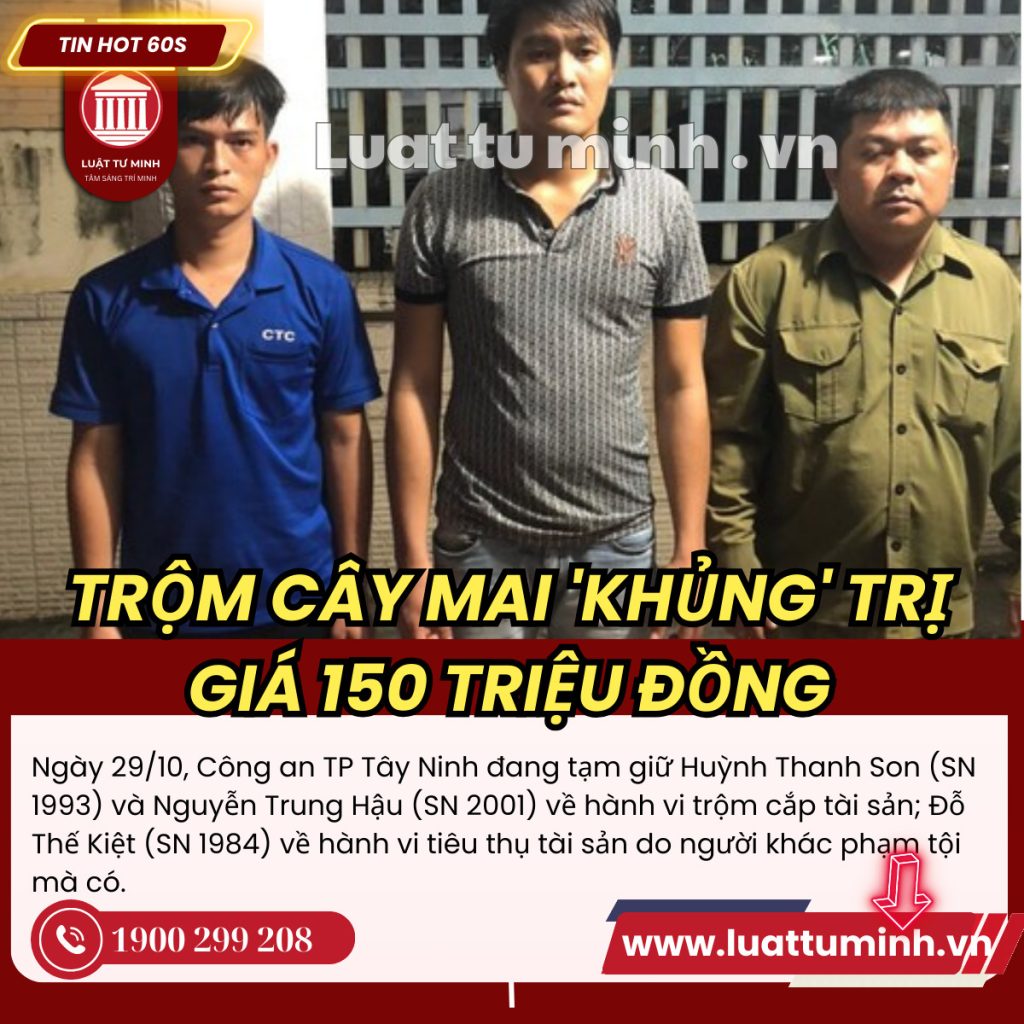 Truy nhanh nhóm đối tượng trộm cây mai 'khủng' trị giá 150 triệu đồng - Luật Tư Minh