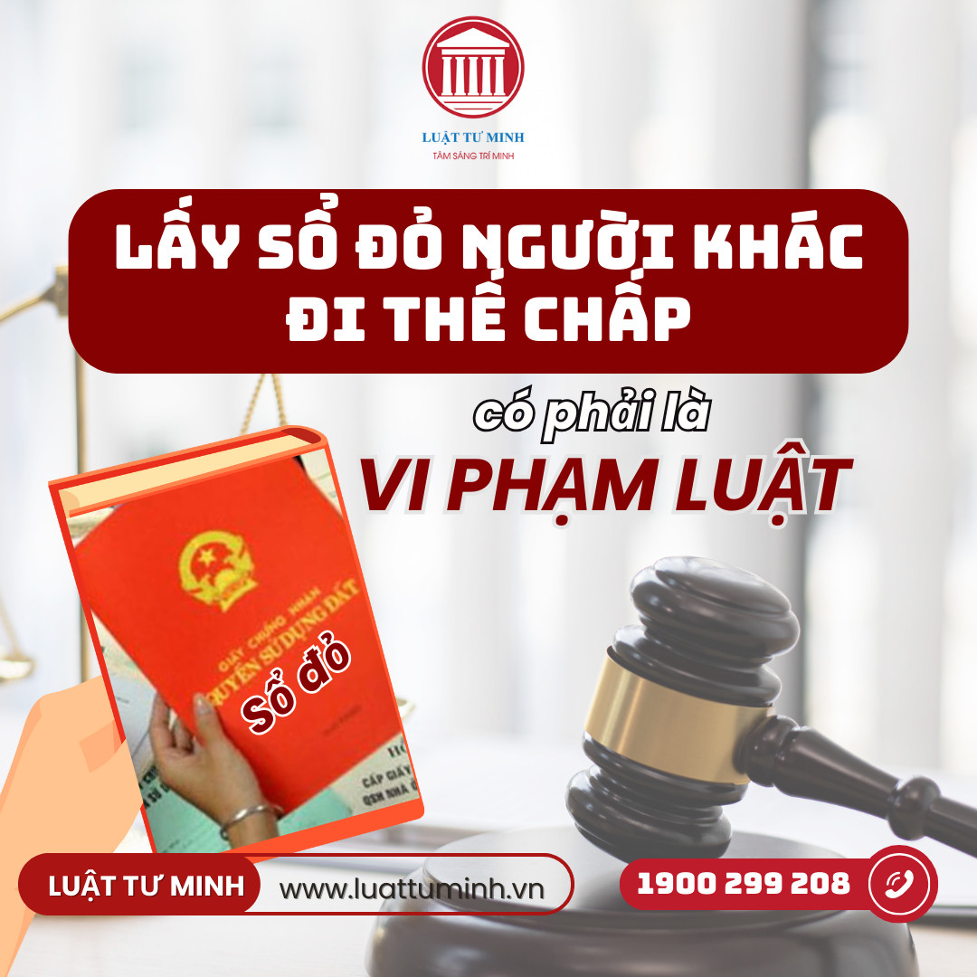 lấy sổ đỏ; luật Tư Minh