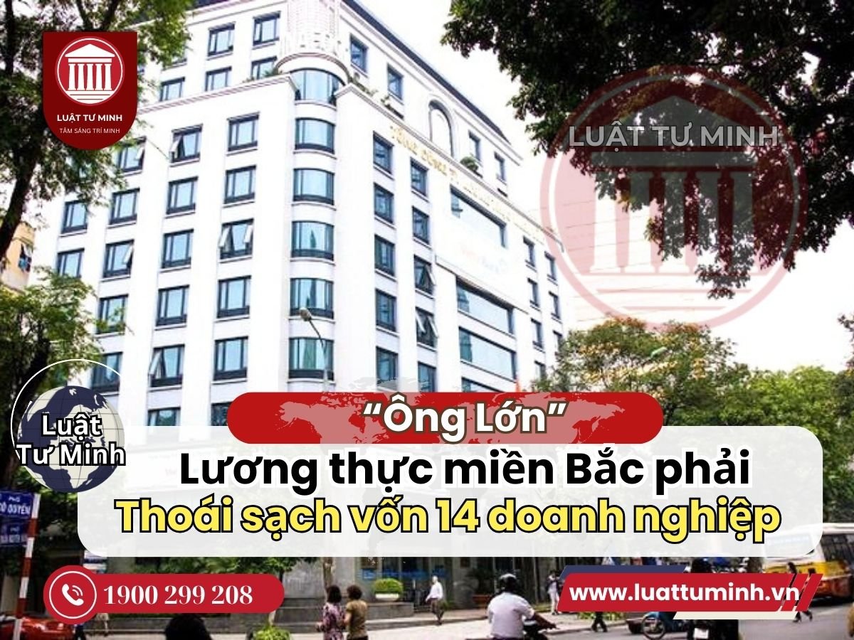 'Ông lớn' Lương thực miền Bắc phải thoái sạch vốn tại 14 doanh nghiệp - Luật Tư Minh