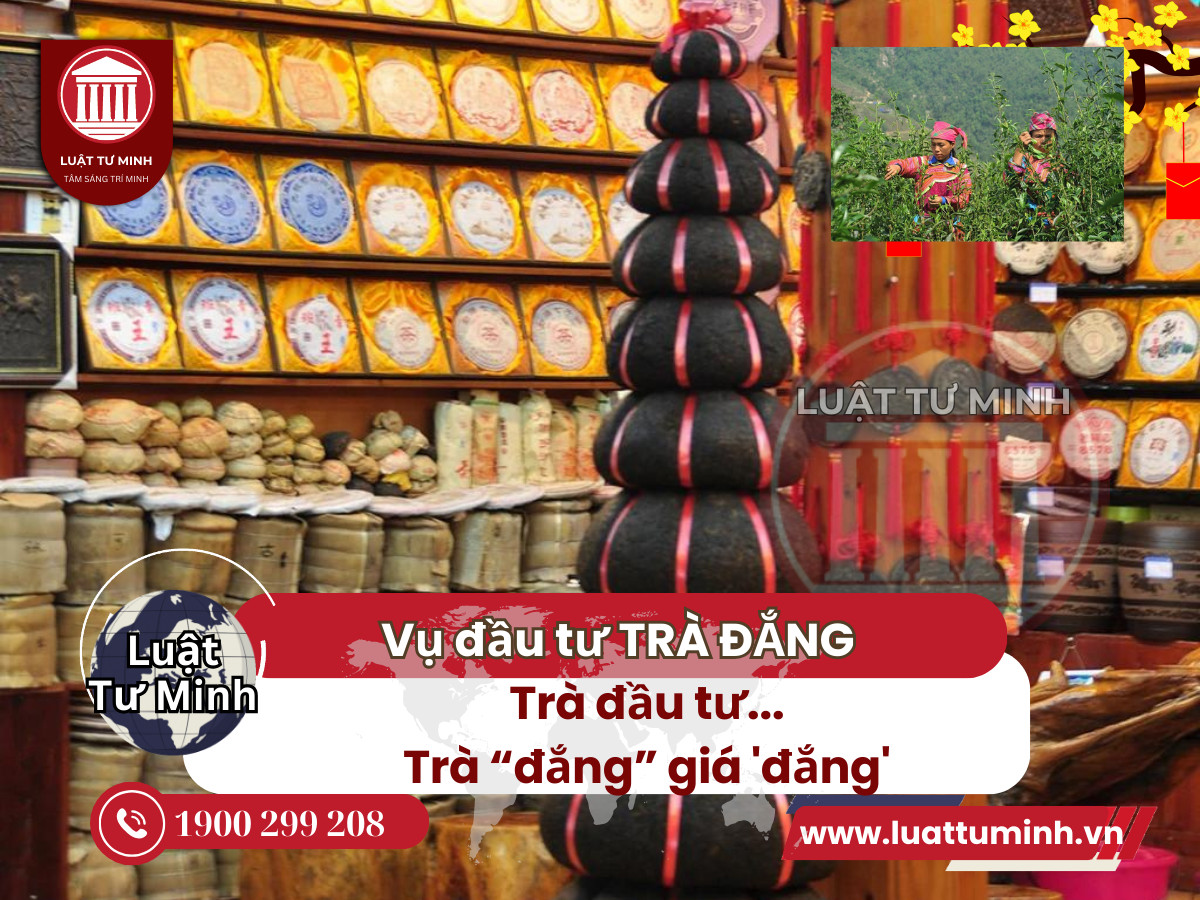 Trà đầu tư... giá 'đắng'