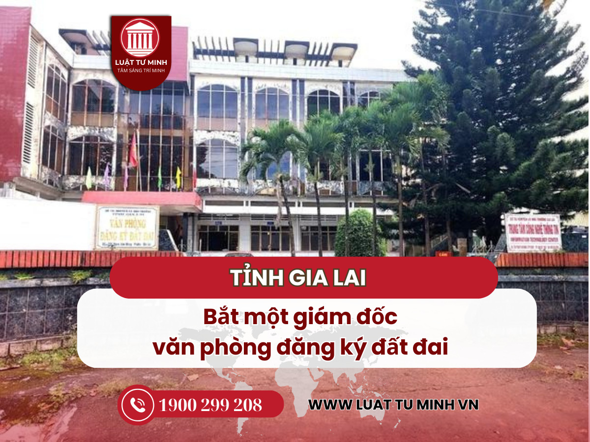 Bắt một giám đốc văn phòng đăng ký đất đai - Luật Tư Minh