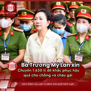 Bà Trương Mỹ Lan đề nghị khắc phục thiệt hại thay chồng và cháu gái