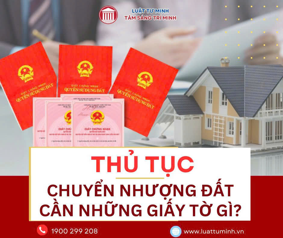 Dịch Vụ Pháp Lý Uy Tín Về Thủ Tục Chuyển Nhượng Quyền Sử Dụng Đất – Luật Tư Minh